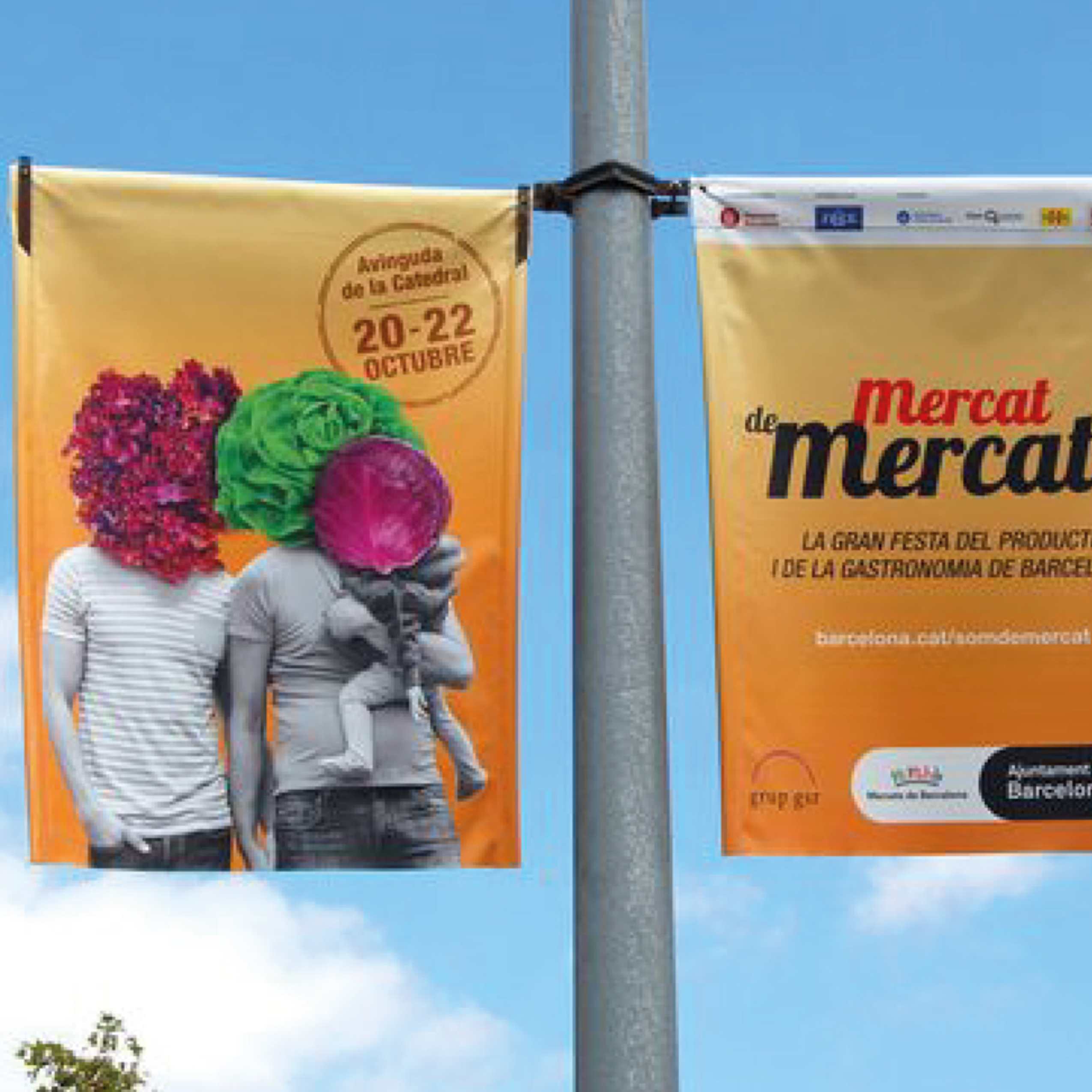 Lona Impresa
